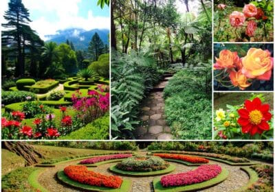 Hakgala Botanical Gardens