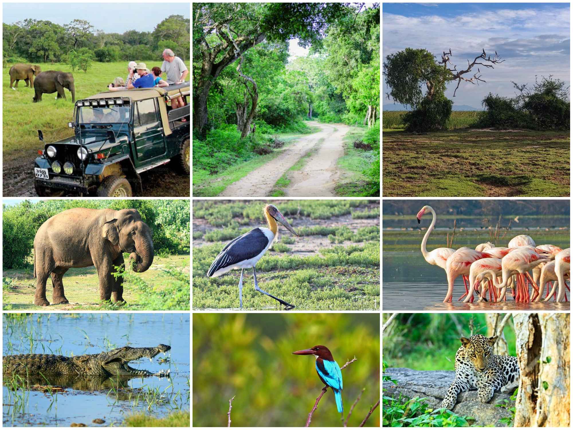 Bundala National Park