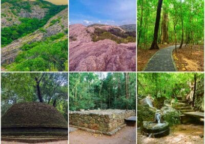 Namal Uyana forest in Sri Lanka