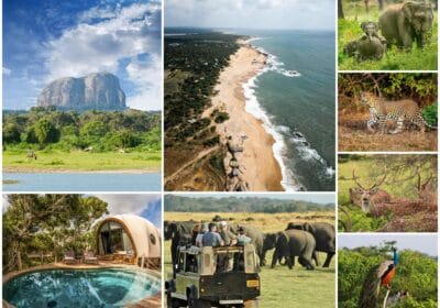 Yala National Park, Sri Lanka, Wild Safari, Accommodation, and Fees