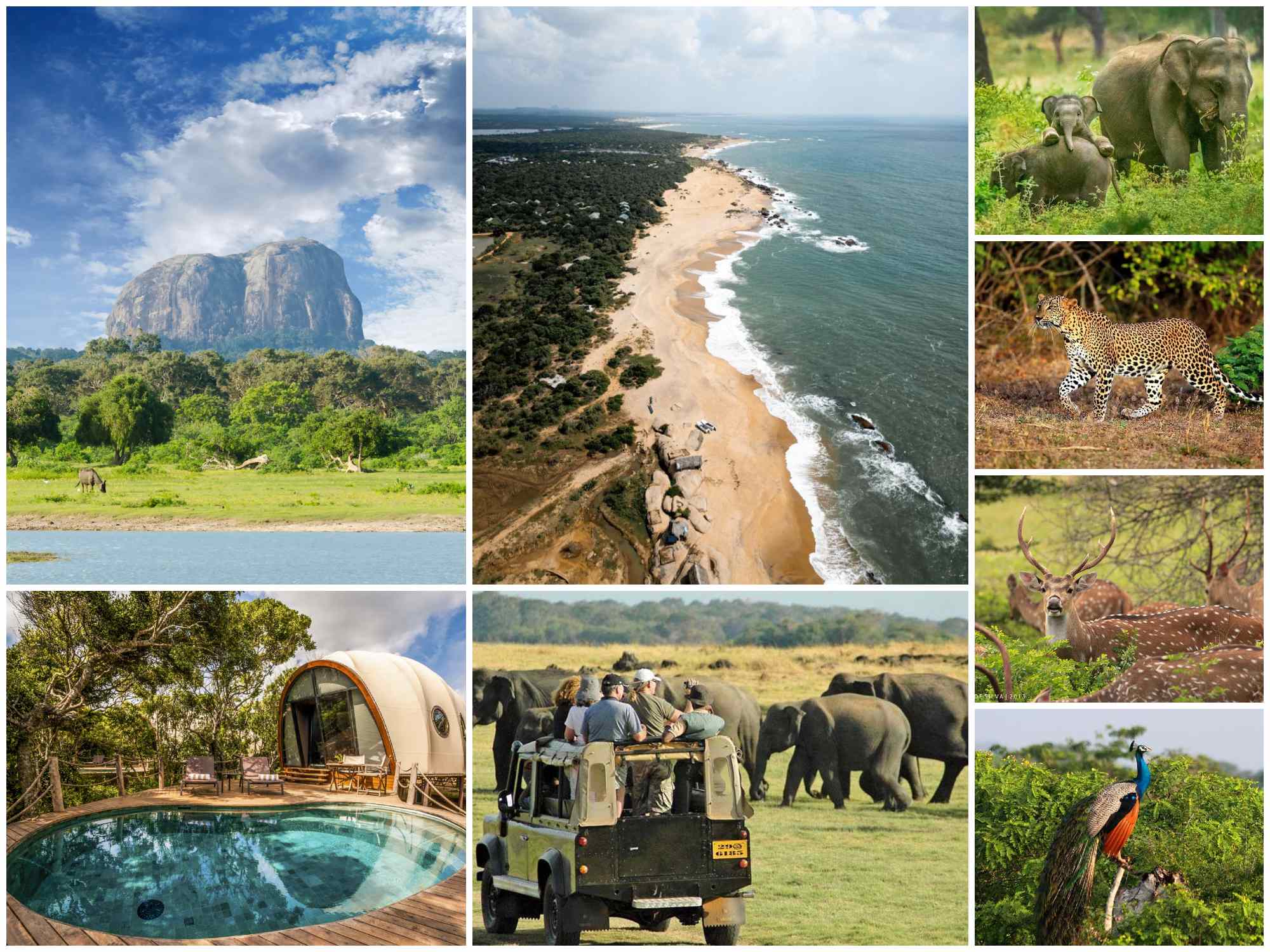 Yala National Park, Sri Lanka, Wild Safari, Accommodation, and Fees