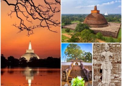 Anuradhapura History & Culture