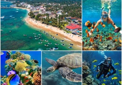 Hikkaduwa Marine National Park