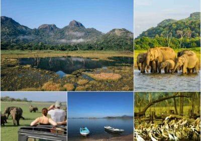 Gal Oya National Park