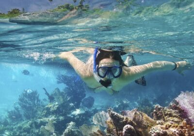 Sri lanka Diving and Snorkeling