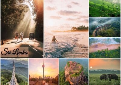 When To Visit Sri Lanka