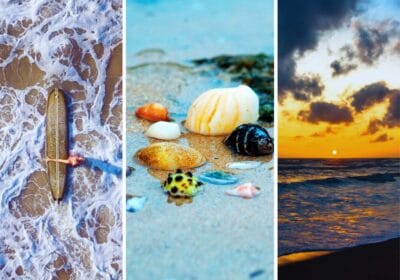 Photo grid of photos of sri lanka including beach