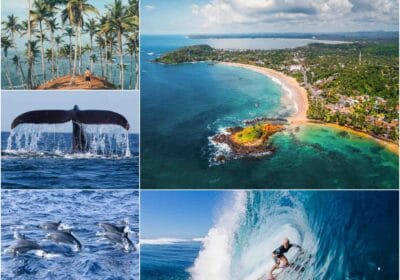 Mirissa Beach Sri Lanka